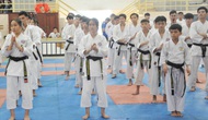 Quảng Nam: Phát triển phong trào Karatedo từ cơ sở