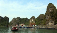 Quảng Ninh: Các cơ sở kinh doanh dịch vụ du lịch đạt chuẩn an toàn được đón khách ngoại tỉnh