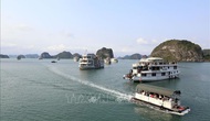 Quảng Ninh: Giảm 50% phí tham quan các điểm du lịch nổi tiếng trong 6 tháng đầu năm 2022