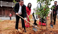 Thứ trưởng Nguyễn Văn Hùng: Bộ VHTTDL phải tiếp tục lan tỏa những tinh thần tốt đẹp của phong trào Tết trồng cây