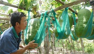 Bình Định: Phát triển du lịch làng nghề truyền thống 