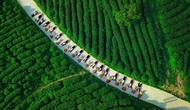 Phát triển du lịch nông nghiệp ở Cao Bằng