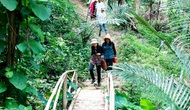 Bình Thuận tận dụng tối đa các tiềm năng để phát triển du lịch bền vững