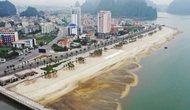 Quảng Ninh: Sức hút từ du lịch biển đảo