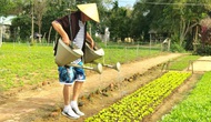 Quảng Nam: Thúc đẩy du lịch nông thôn