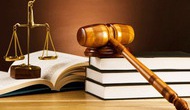 Triển khai thi hành Luật sửa đổi, bổ sung một số điều của Luật Xử lý vi phạm hành chính