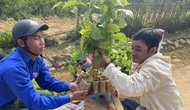 Vườn cây hạnh phúc xanh: Trao tặng 15.000 cây xanh cho bà con vùng lũ