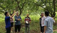Đẩy mạnh quảng bá Công viên địa chất Toàn cầu UNESCO Non nước Cao Bằng