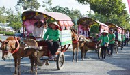 Bến Tre: Tổ chức cuộc thi ảnh đẹp du lịch online năm 2021 “Vẻ đẹp du lịch xứ Dừa”