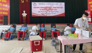 Gần 300 HLV, VĐV tham gia hoạt động hiến máu nhân đạo