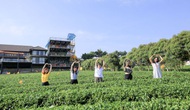 Phát triển du lịch nông thôn ở Lâm Đồng