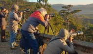 Khai mạc trại sáng tác nhiếp ảnh Lâm Đồng năm 2021