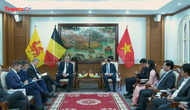 Tăng cường hợp tác thể thao giữa Việt Nam và cộng đồng Pháp ngữ của Bỉ