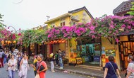 Quảng Nam thu hút gần 4,3 triệu lượt khách tham quan, lưu trú du lịch trong 9 tháng đầu năm
