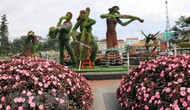 Tỉnh Lâm Đồng công bố chương trình Festival hoa Đà Lạt 2022