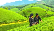 Phú Thọ: Phê duyệt Chương trình khung xúc tiến du lịch của tỉnh năm 2023