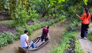 Tour miệt vườn, sông nước hút khách đến Cần Thơ