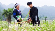 Thái Nguyên: Lan tỏa phong trào “Toàn dân đoàn kết xây dựng đời sống văn hóa”