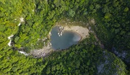 Quảng Bình: Khám phá rừng nguyên sinh ở Phong Nha – Kẻ Bàng