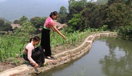 Thanh Hóa: Phát triển nông nghiệp gắn với du lịch hiệu quả, bền vững