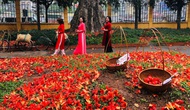 Trải nghiệm văn hóa làng trong phố với “Bác Cổ - Mùa hoa gạo”