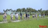 Quảng Nam phát triển du lịch xanh 
