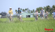 Công bố bộ tiêu chí du lịch xanh Quảng Nam