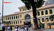 Nhu cầu du lịch của người nước ngoài đến Việt Nam tăng cao trở lại