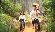 Chiếu miễn phí 7 phim tại Tuần phim ASEAN 2022