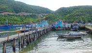 Ninh Thuận: Chấn chỉnh hoạt động du lịch không đúng quy định trên vịnh Vĩnh Hy, Bãi Kinh