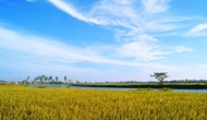 Thái Bình phát triển nông nghiệp gắn với du lịch 