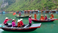 Quảng Ninh: Bảo tồn Di sản thiên nhiên thế giới Vịnh Hạ Long