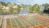 Quảng Ninh: Nâng tầm điểm đến du lịch thể thao