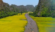 Ninh Bình: Phát triển du lịch nông thôn trong xây dựng nông thôn mới