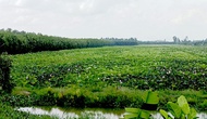 Cơ hội cho du lịch nông nghiệp ở Đồng bằng sông Cửu Long