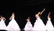 Giới thiệu vở múa đương đại “La Traviata” của Italia tới khán giả Việt Nam