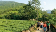 Định danh du lịch nông nghiệp, nông thôn Thái Nguyên