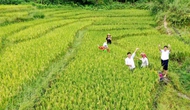 Hà Giang: Phát triển du lịch nông thôn gắn với xây dựng Nông thôn mới