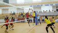 11 đội tham gia Giải bóng chuyền các CLB nam, nữ tỉnh Bình Định năm 2023