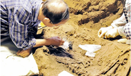 Những phát hiện mới về khảo cổ học ở Hà Nam