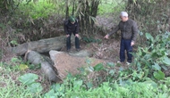 Cấp phép khai quật khảo cổ tại một số địa điểm thuộc tỉnh Cao Bằng