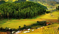 Thanh Hóa: Phê duyệt Đề án du lịch sinh thái, nghỉ dưỡng, giải trí trong rừng đặc dụng Khu BTTN Pù Luông