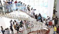 Quảng Ninh: Năm 2024 - Phấn đấu đón 17 triệu lượt du khách