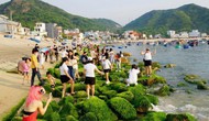 Bình Định: Sẵn sàng đón khách mùa du lịch hè