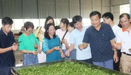 Famtrip quảng bá du lịch cộng đồng tại Thái Nguyên