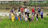 Thúc đẩy du lịch nông nghiệp, nông thôn trên địa bàn thành phố Hà Nội