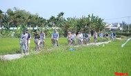 Quảng Nam, Đà Nẵng và Thừa Thiên Huế thúc đẩy phát triển du lịch xanh