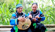Hà Giang: Phát huy danh hiệu Công viên Địa chất toàn cầu UNESCO Cao nguyên đá Đồng Văn