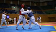 Khai mạc giải vô địch Taekwondo các câu lạc bộ quốc tế lần thứ 19 năm 2023