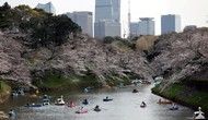 Du lịch Nhật Bản phục hồi hơn 85% so với trước đại dịch